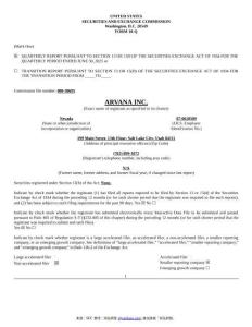 【SEC-2025行業研究報告】Form 10-Q ARVANA INC