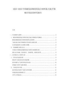 2025-2030中國(guó)碳化硅陶瓷基復(fù)合材料航天航空領(lǐng)域應(yīng)用前景研究報(bào)告