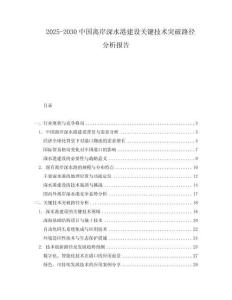 2025-2030中國離岸深水港建設關鍵技術突破路徑分析報告