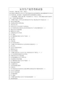 安全生產(chǎn)處罰考核試卷