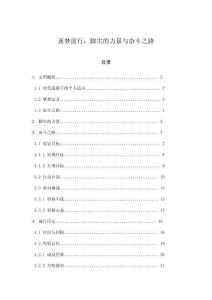 逐夢前行：腳尖的力量與奮斗之路