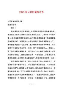 2025年公司打架檢討書