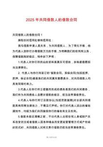 2025年共同借款人的借款合同