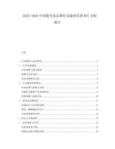 2025-2030中國新興水品牌社交媒體營銷ROI分析報告