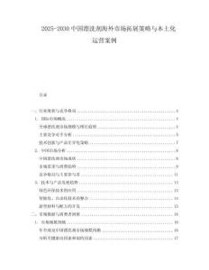 2025-2030中國漂洗劑海外市場拓展策略與本土化運營案例