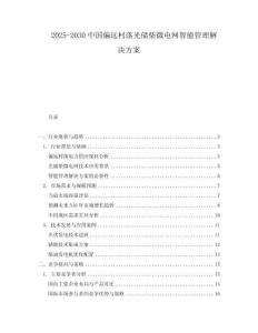 2025-2030中國偏遠村落光儲柴微電網智能管理解決方案