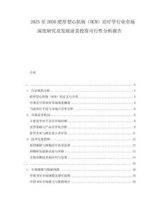 2025至2030肥厚型心肌病（HCM）治療學(xué)行業(yè)市場(chǎng)深度研究及發(fā)展前景投資可行性分析報(bào)告