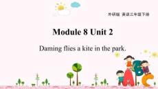 《Module 8 Unit 2 Daming flies a kite in the park》教學(xué)課件