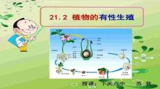 【民俗傳統文化傳承】同一朵花的雄蕊花藥中的花粉傳給雌蕊⑴自花傳粉