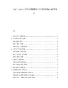 2025-2030中國醫療器械國產化替代進程與政策導向