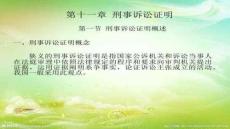 【訴訟法程序與應(yīng)用】刑事訴訟證明