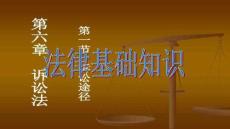 【訴訟法程序與應(yīng)用】訴訟的種類民事訴訟行政訴訟刑事訴訟二