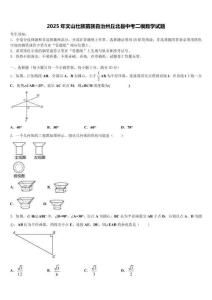 2025年文山壯族苗族自治州丘北縣中考二模數學試題含解析