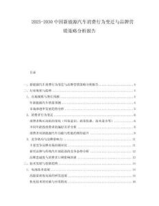 2025-2030中國新能源汽車消費行為變遷與品牌營銷策略分析報告