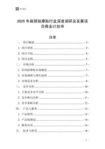 2025年肩頸按摩貼行業(yè)深度調研及發(fā)展項目商業(yè)計劃書