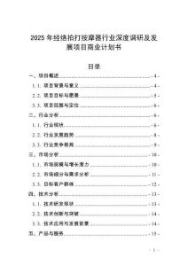 2025年經絡拍打按摩器行業(yè)深度調研及發(fā)展項目商業(yè)計劃書