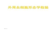 【檢驗醫(yī)學(xué)方法與技術(shù)】01血涂片、紅細(xì)胞形態(tài)