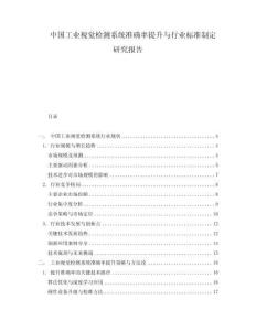 中國工業(yè)視覺檢測系統(tǒng)準(zhǔn)確率提升與行業(yè)標(biāo)準(zhǔn)制定研究報告
