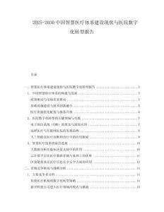 2025-2030中國智慧醫療體系建設現狀與醫院數字化轉型報告