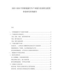 2025-2030中國新能源汽車產(chǎn)業(yè)鏈全景剖析及投資價值研究咨詢報告
