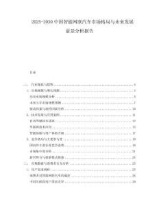 2025-2030中國智能網(wǎng)聯(lián)汽車市場格局與未來發(fā)展前景分析報告