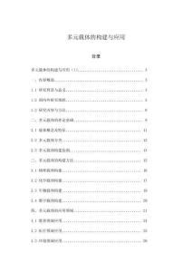 多元載體的構(gòu)建與應(yīng)用