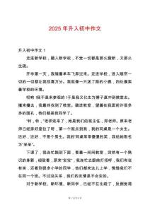 2025年升入初中作文