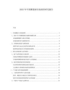 2025年中國撕裂球市場(chǎng)調(diào)查研究報(bào)告