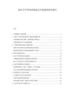 2025年中國電熱保溫臺市場調(diào)查研究報告