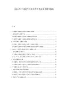 2025年中國柔性排水鑄鐵管市場調查研究報告