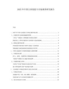 2025年中國大容量挖斗市場調查研究報告