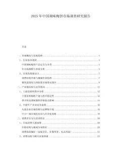 2025年中國(guó)調(diào)味梅餅市場(chǎng)調(diào)查研究報(bào)告