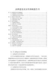 品牌建設(shè)及宣傳策略報(bào)告書