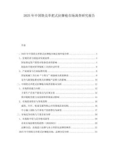 2025年中國鐵殼單把式拉鉚槍市場調查研究報告