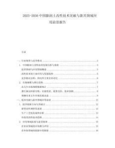 2025-2030中國膨潤土改性技術突破與新興領域應用前景報告