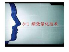8+1績(jī)效量化技術(shù)18