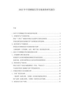 2025年中國曬版燈管市場調查研究報告