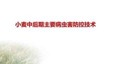 小麥中后期主要病蟲害防控