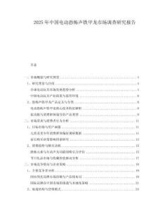 2025年中國電動恐怖聲鐵甲龍市場調(diào)查研究報告