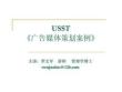 USST《廣告媒體策劃案例》22