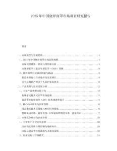 2025年中國(guó)燒焊面罩市場(chǎng)調(diào)查研究報(bào)告