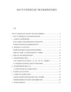 2025年中國彩條長袖T恤市場調(diào)查研究報告
