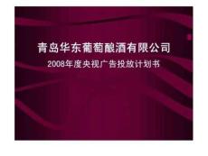 2008年度央視廣告投放計劃書3
