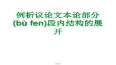 【文學研究方法與視角】例析議論文本論部分段內結構的展開