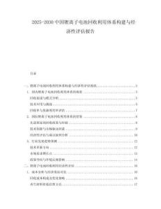 2025-2030中國鋰離子電池回收利用體系構建與經濟性評估報告