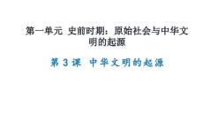1.3+中華文明的起源 統編版七年級歷史上冊 (3)