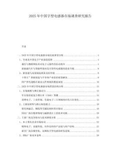 2025年中國字型電感器市場調查研究報告