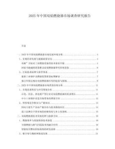 2025年中國雙焰燃燒器市場調查研究報告