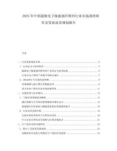 2025年中國(guó)超細(xì)電子級(jí)玻璃纖維紗行業(yè)市場(chǎng)調(diào)查研究及發(fā)展前景規(guī)劃報(bào)告