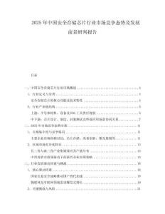 2025年中國(guó)安全存儲(chǔ)芯片行業(yè)市場(chǎng)競(jìng)爭(zhēng)態(tài)勢(shì)及發(fā)展前景研判報(bào)告